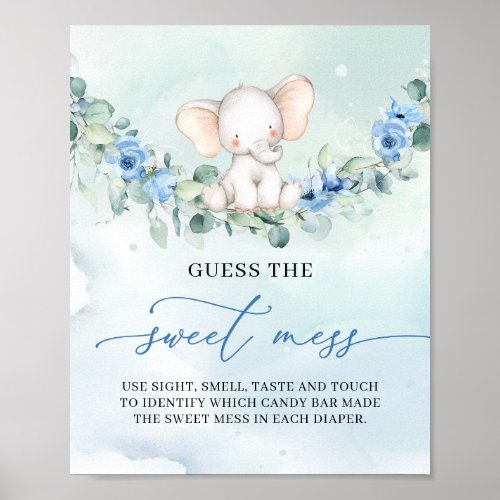 Boy baby elephant floral Guess The Sweet Mess game Poster