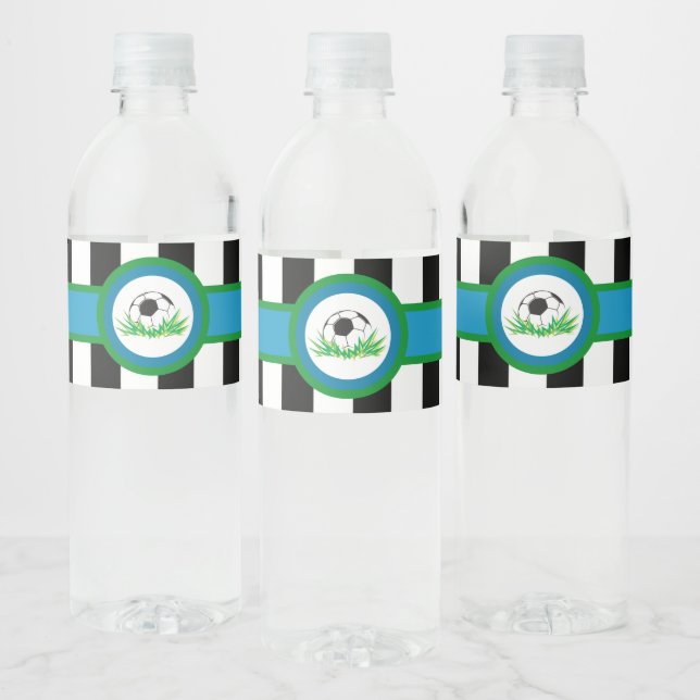 Boy Birthday Party Water Bottle Labels (Bottles)