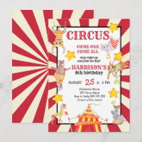 Boy Circus Party Birthday Carnival