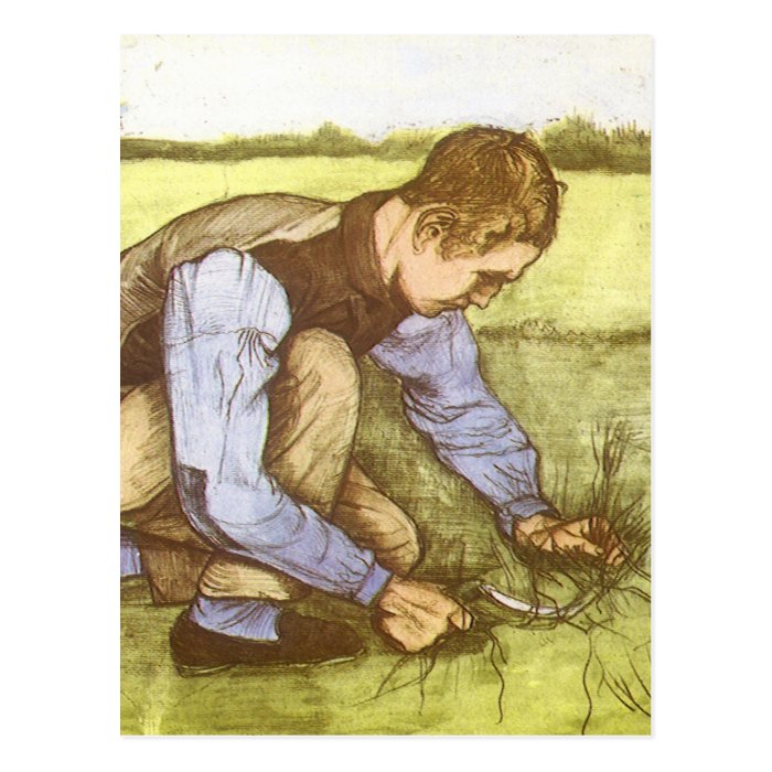 Boy Cutting Grass with Sickle by Vincent van Gogh Post Cards