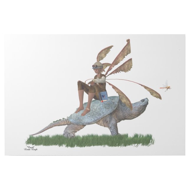 Boy Fairy Riding On Turtle Gallery Wrap (Front)