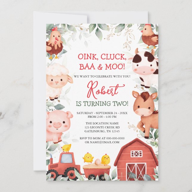 Boy Farm Animals Barnyard Birthday Invitation (Front)