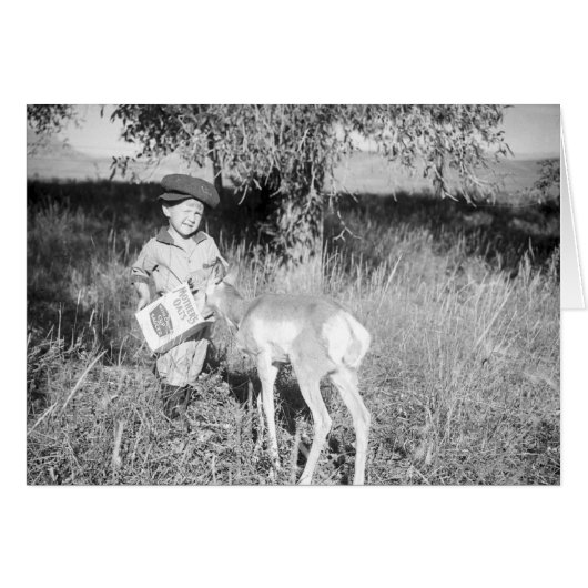 Boy feeding antelope by hand cards (Front Horizontal)