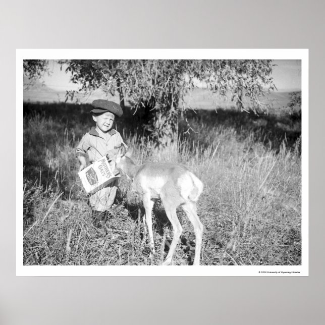 Boy feeding antelope by hand poster (Front)