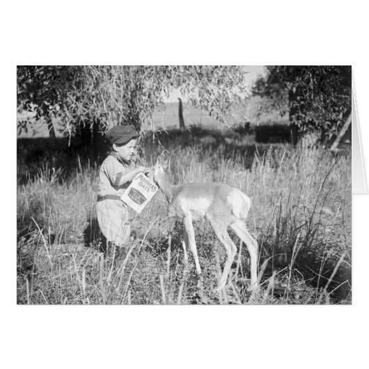 Boy feeding antelope cards (Front Horizontal)