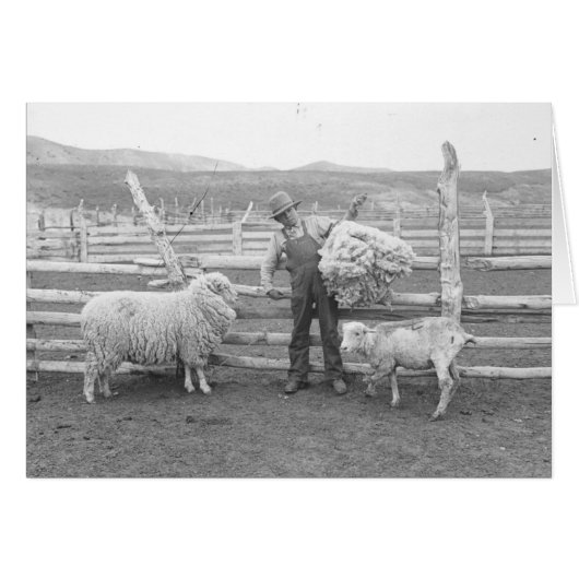 Boy holding up a bundle of wool cards (Front Horizontal)