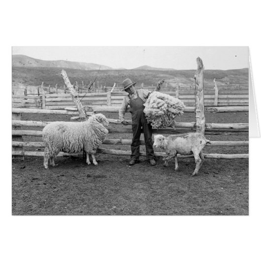 Boy holding up a bundle of wool cards (Front Horizontal)