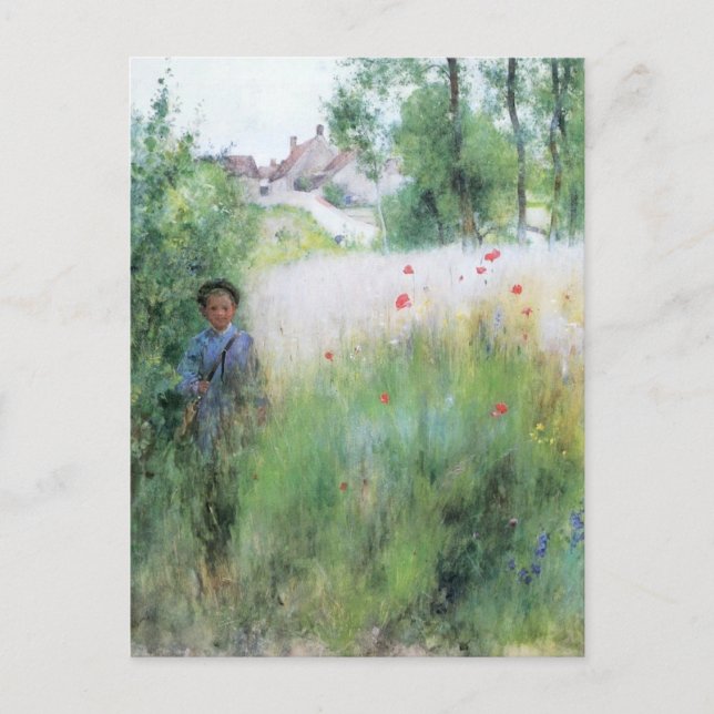 Boy in the Meadow Postcard (Front)