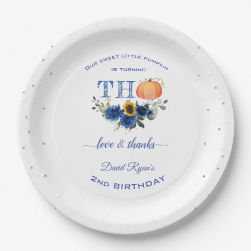  Boy Little Pumpkin Thanksgiving 2nd Birthday   Paper Plates