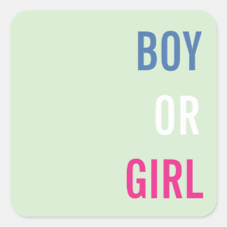Boy or Girl Baby Shower Square Sticker