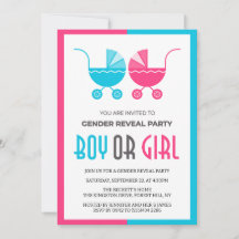Boy or Girl Baby Stroller Twins Gender Reveal