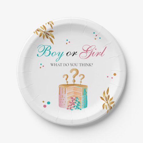 Boy or girl cake Baby party Shower Paper Plates
