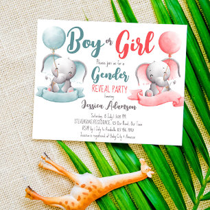 Boy or girl elephant gender reveal budget invite