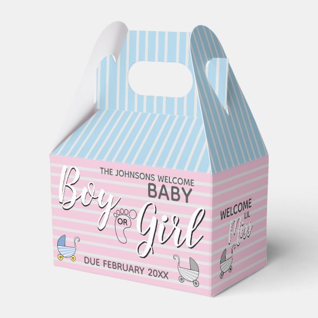 Boy or Girl Gender Reveal Party Favor Boxes (Front Side)