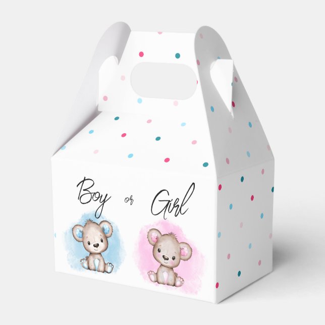 Boy or Girl Gender Reveal Party Favor Boxes (Front Side)