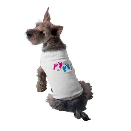 boy or girl? gender reveal party shirt (Back)
