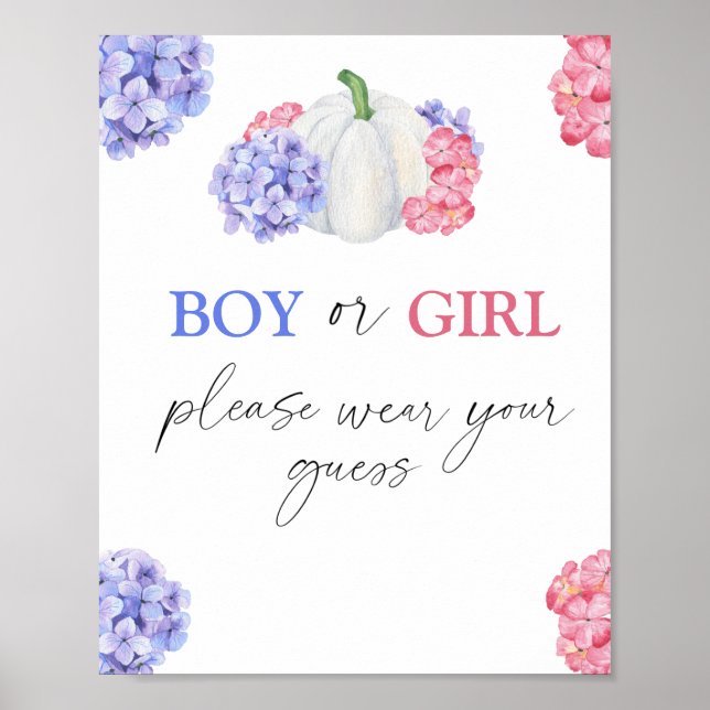 Boy or Girl please wear your guess Poster (Front)