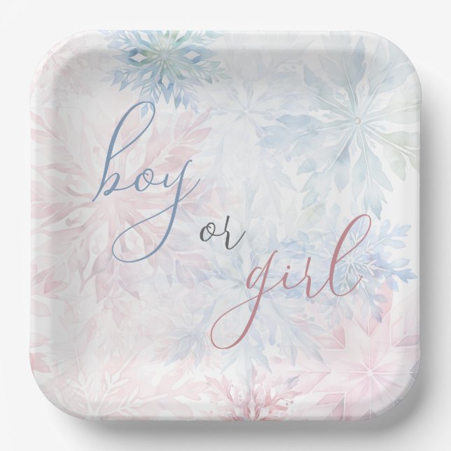 Boy or Girl Winter Pink Blue Snowflake Paper Plates (Front)