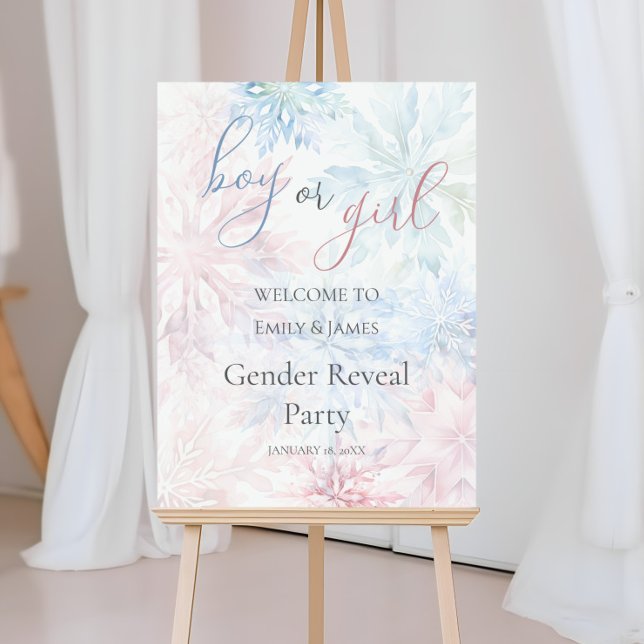 Boy or Girl Winter Pink Blue Snowflake Welcome Foam Board (Creator Uploaded)