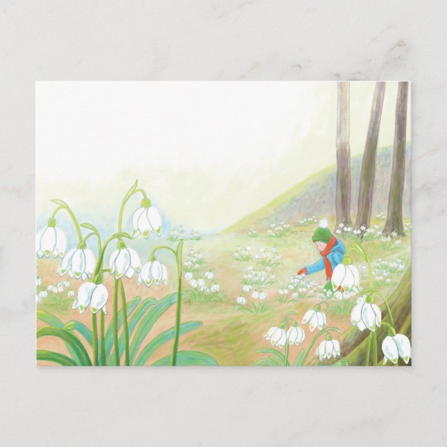 Boy Picking Spring Snowflakes Illustration  Holiday Postcard (Front)