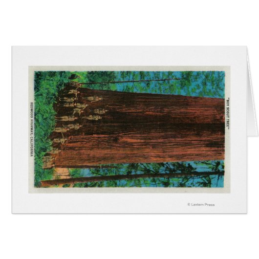 Boy Scout Tree on Redwood HighwayRedwoods, CA Cards (Front Horizontal)