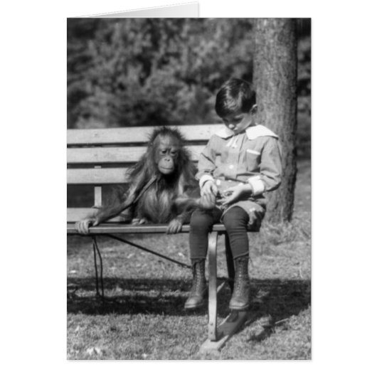 Boy seated with orangutan at the National Zoo Cards (Front)