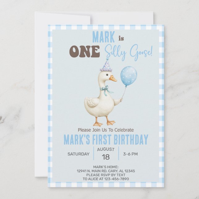Boy Silly Goose 1st first birthday invite, goose. Invitation (Front)