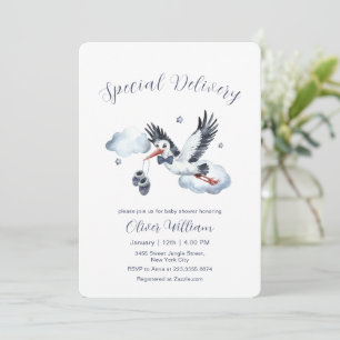 Boy Special Delivery Vintage Stork Baby Shower   Invitation