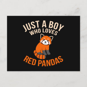 Boy Who Loves Red Pandas Cute Pet Animal Panda Lov Announcement Postcard