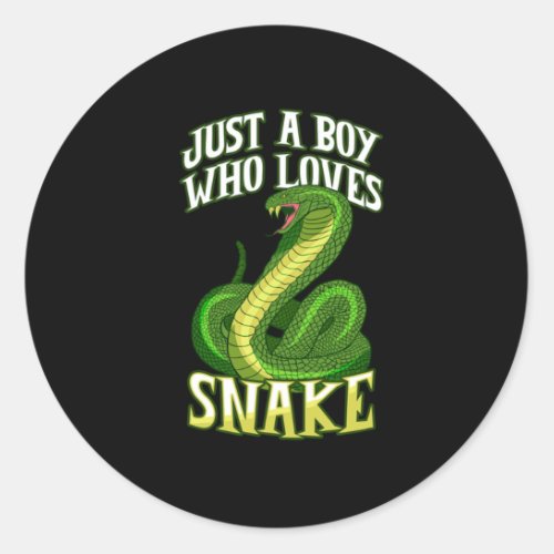 Boy Who Loves Snake Reptile Animal Cobra Pet Gift Classic Round Sticker