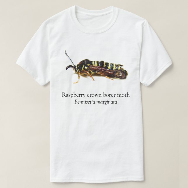 BOYB Raspberry Crown Borer T-Shirt (Design Front)
