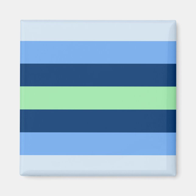 Boyflux Pride Flag  Magnet (Front)