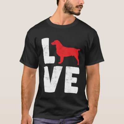 Boykin Spaniel  2 T-Shirt