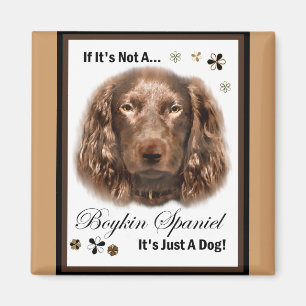 Boykin Spaniel Art Gifts Magnet
