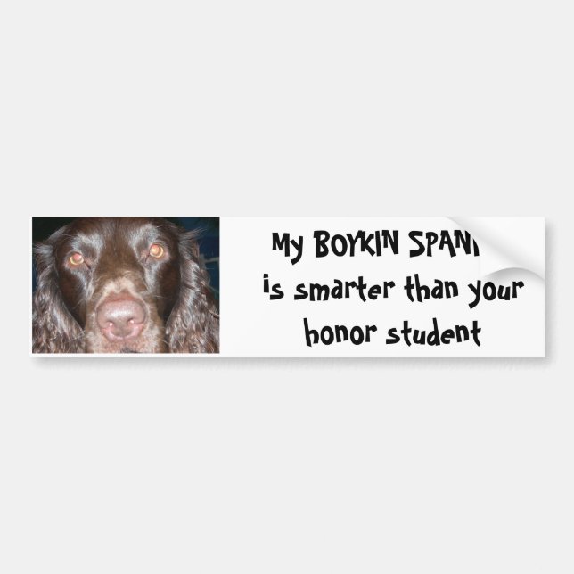BOYKIN SPANIEL BUMPER STICKER (Front)