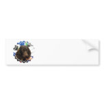 Boykin Spaniel  Bumper Sticker