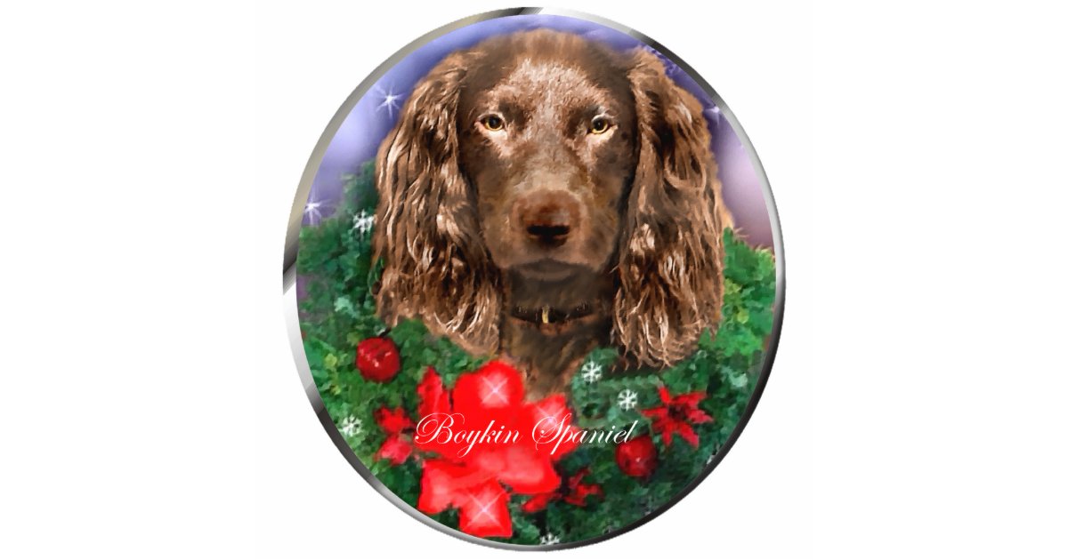 boykin spaniel christmas ornament