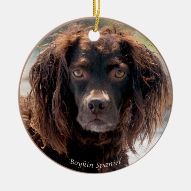 boykin spaniel christmas ornament