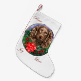 Boykin spaniel best sale christmas stocking