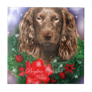 Boykin Spaniel Christmas Tile