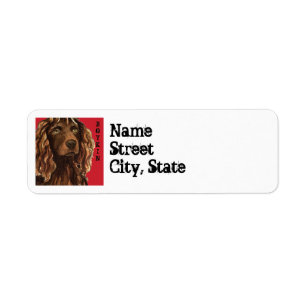 Boykin Spaniel Color Block Label