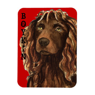 Boykin Spaniel Color Block Magnet