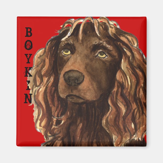 Boykin Spaniel Color Block Magnet (Front)