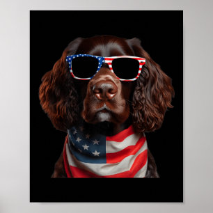 Boykin Spaniel Dog 4th Of July American Independen Poster