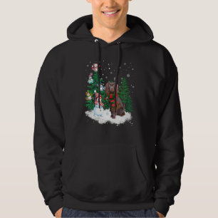 Boykin Spaniel Dog Christmas Snowman Xmas Tree Paj Hoodie