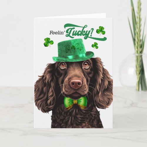 Boykin Spaniel Dog Lucky St Patricks Day Holiday Card