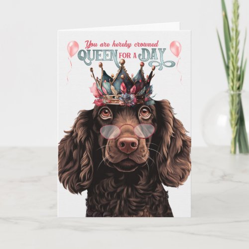 Boykin Spaniel Dog Queen for Day Funny Birthday Card