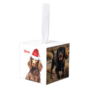 Boykin Spaniel Dog Two Photo Holiday Cube Ornament