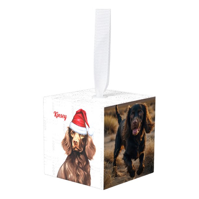 Boykin Spaniel Dog Two Photo Holiday Cube Ornament (Front Angled)