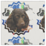 Boykin Spaniel Fabric
